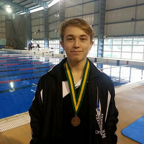 Diving Champion