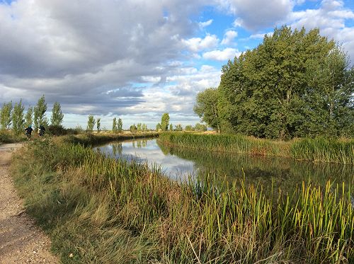 Day 11 Our canal company along Boadilla del Camino
