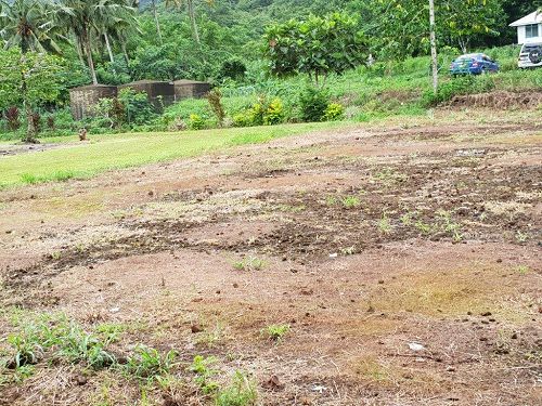 Site for the new playground (different angle)