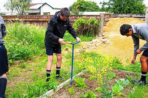 Year 10 Horticulture