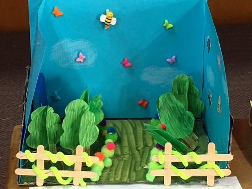 Sarah's beautiful garden.