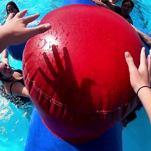 Video: House Day 2020