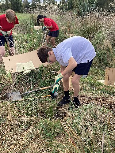 Y9 Big Day Out Planting