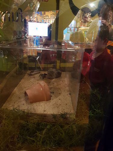 Awa's Trip to the Canterbury Museum