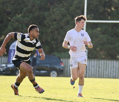 1st XV vs New Plymouth Boys' High School