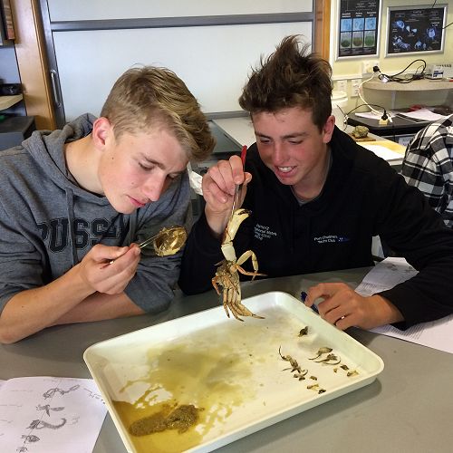 Year 12 Biology visit to the Marine Science Laboratory