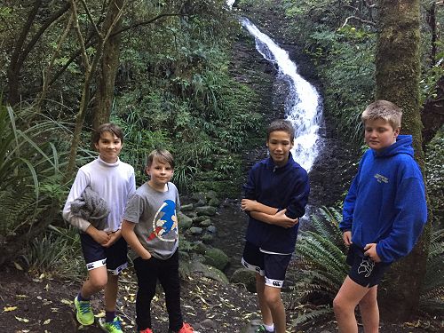 Cross country Training