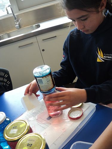 Learning Enrichment 05.09.16