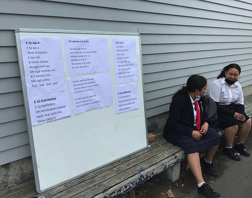 Māori language week