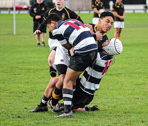 PNBHS Colts Rugby v Wellington College 
