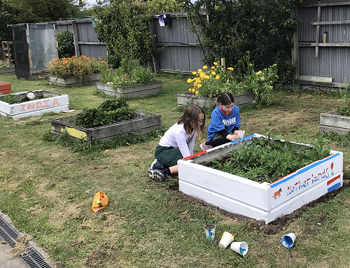 Skylar and Chelsea- Painting our planter boxes behind our Komingo space