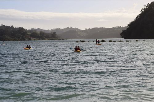 Kayaking on the Pūhoi River