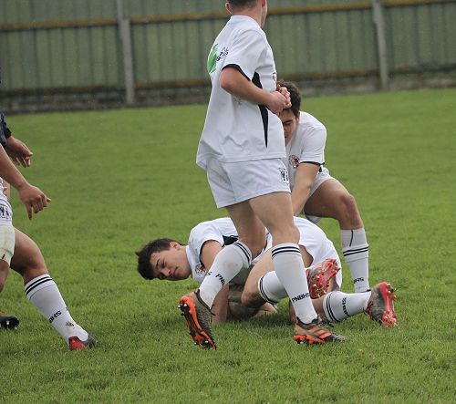 1st XV v Gisborne BHS