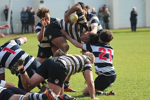 2nd XV vs New Plymouth Boys' High School