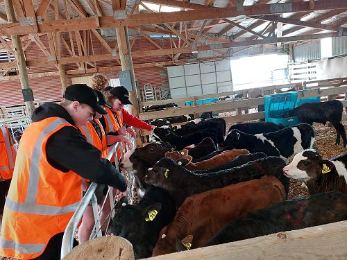 Students visit the PAMU farms in Moana