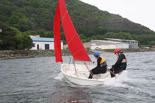 Term 4 Sailing