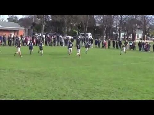 Video: video 1658561381