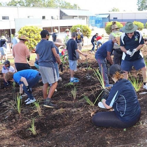 2022 planting at Mansfield