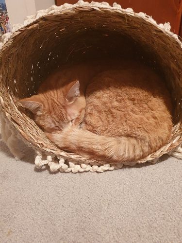 Snuggling up at home.