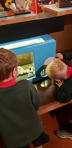 Awa's Trip to the Canterbury Museum