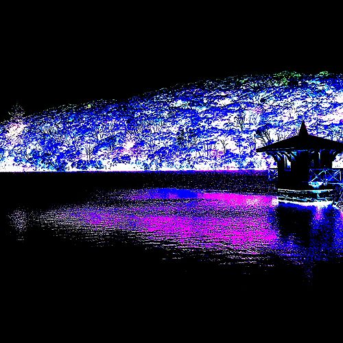 Lockdown Photo Competition