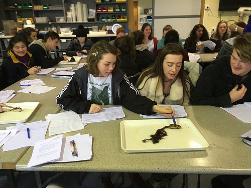 13 Biology Field Trip