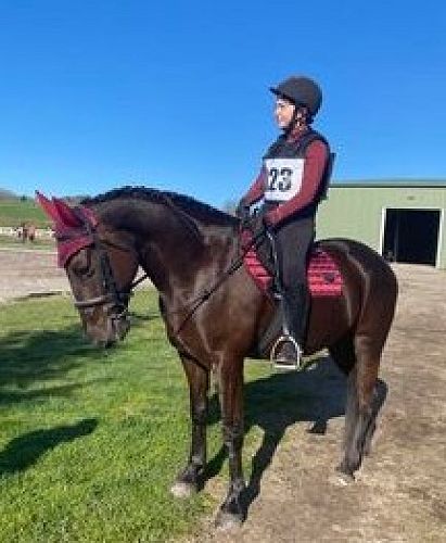 Violet Jones - North Island Secondary Schools Equestrian Championships