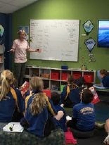 classroom sugar lesson