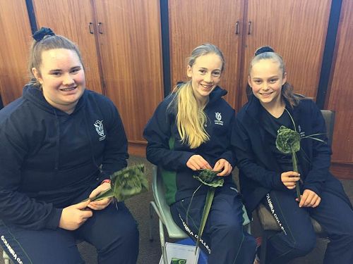 Amalee Richards, Hannah Coe and Molly Ballard