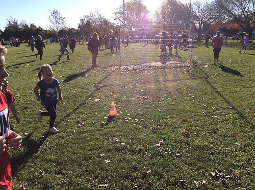 Cross Country Day - Awa