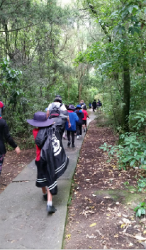 Riccarton House & Riccarton Bush - Team Harakeke - 2017