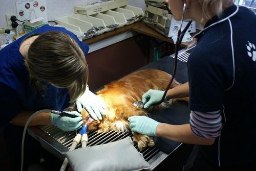 <br />
Our Difference: Latest Technology. We invest heav