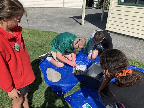 Kit Day Marae feather dying Hannah Ollie Vinnie TeMaire