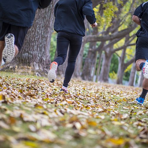 Autumn running