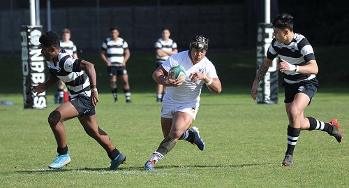 1st XV vs New Plymouth Boys' High School