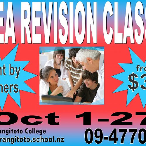 NCEA Revision Class