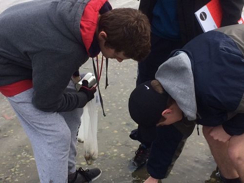 Year 12 Biology Trip To Blueskin Bay