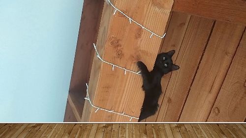 Video: 10HTM Legacy Project