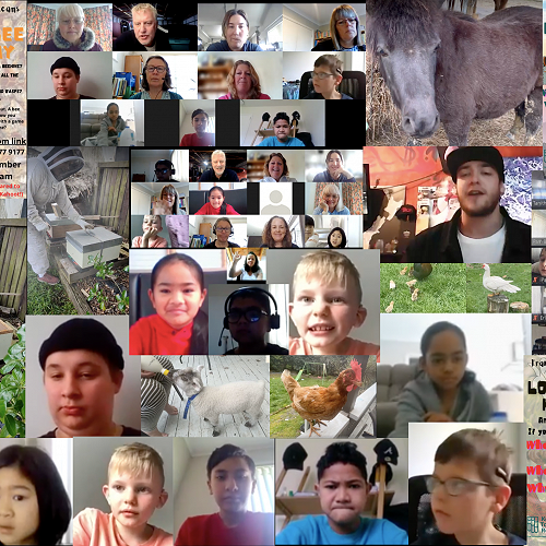 Video: Franklin Zoomers - Looking at alternative ways to connect online!