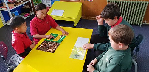 Team Awa and Wairere Buddy Class