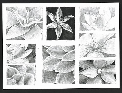 Alize Sayer grid drawing