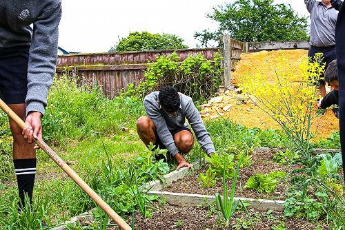 Year 10 Horticulture