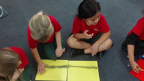 Measurement - week one