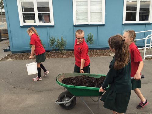 Team work to move the bark