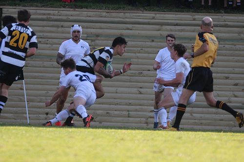 1st XV vs New Plymouth Boys' High School