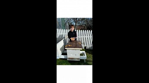 Video: james beehive.mp4