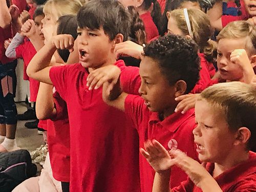 St Allisa Cultural Visit - T1 2019 - Team Harakeke