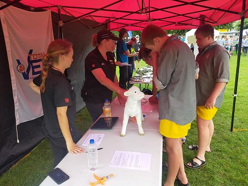 Clash of the Colleges - NZ Rural Games