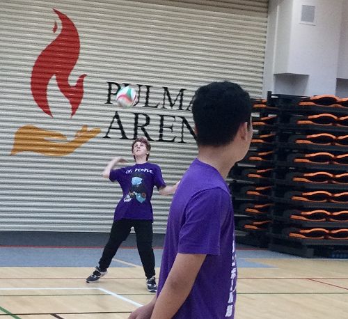 Whānau Ora Day Out at Pullmans Park, Takanini