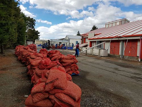 Filter medium being hosed clean